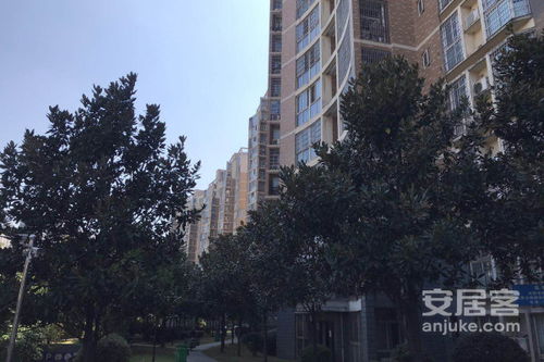 幸福洋房優(yōu)點 不足,幸福洋房怎么樣,幸福洋房周邊房產(chǎn)中介經(jīng)紀人評價 長沙安居客